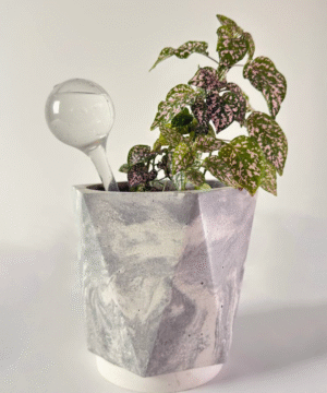 Globo de riego para materas H2526